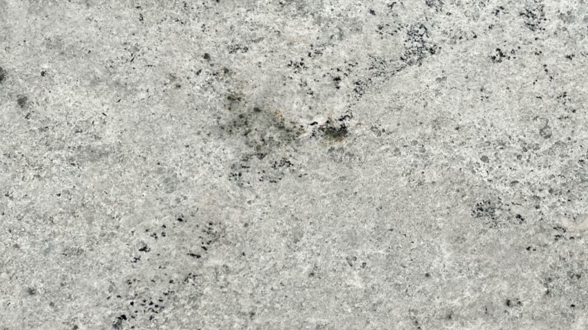 61